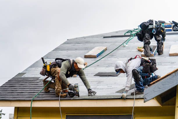 Professional Gutter Installation technician working in Holyoke, CO